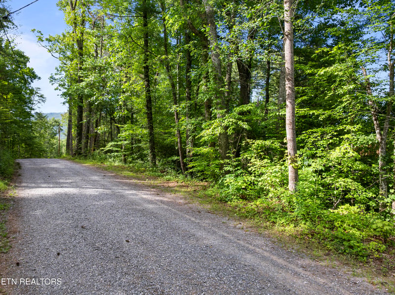 TBD Grouse Top Rd LOT 3, Walland, TN 37886