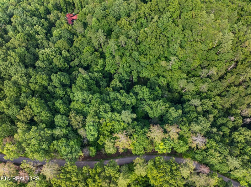 TBD Grouse Top Rd LOT 3, Walland, TN 37886