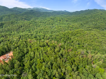 TBD Grouse Top Rd LOT 3, Walland, TN 37886