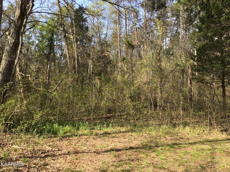 TBD Harrison Ln, Rutledge, TN 37861