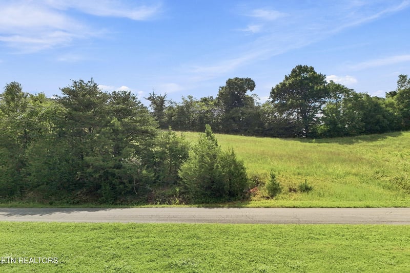 TBD Holston River Dr, Rutledge, TN 37861