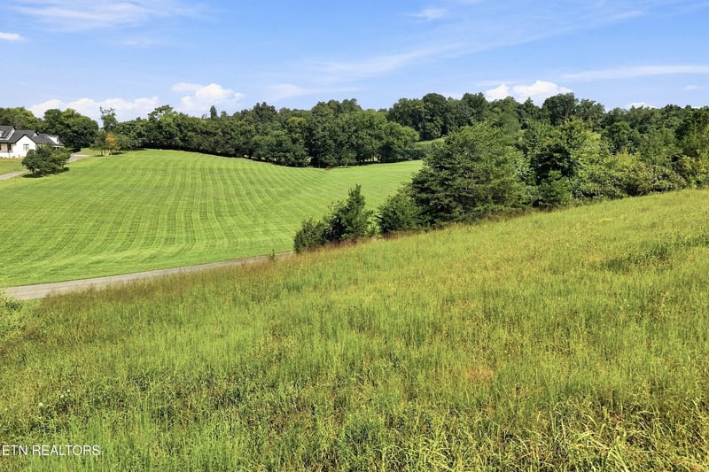 TBD Holston River Dr, Rutledge, TN 37861