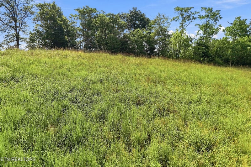 TBD Holston River Dr, Rutledge, TN 37861