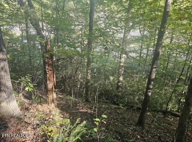 TBD Hwy 25e, Bean Station, TN 37708