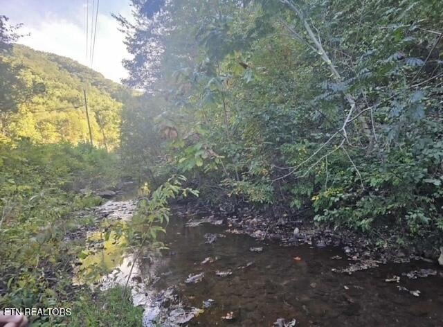 TBD Hwy 25e, Bean Station, TN 37708