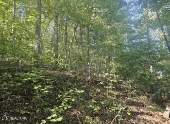 TBD Hwy 25e, Bean Station, TN 37708
