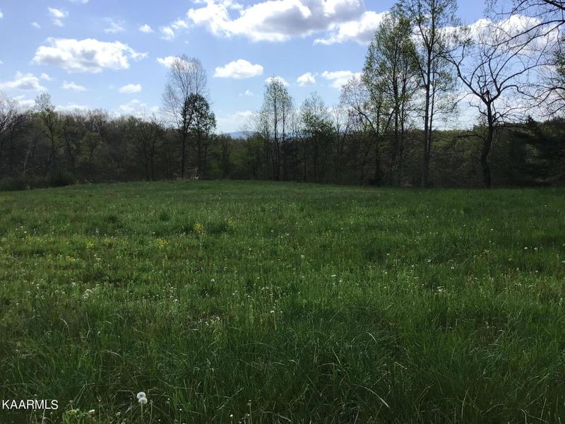 TBD Nydeck Rd, Robbins, TN 37852