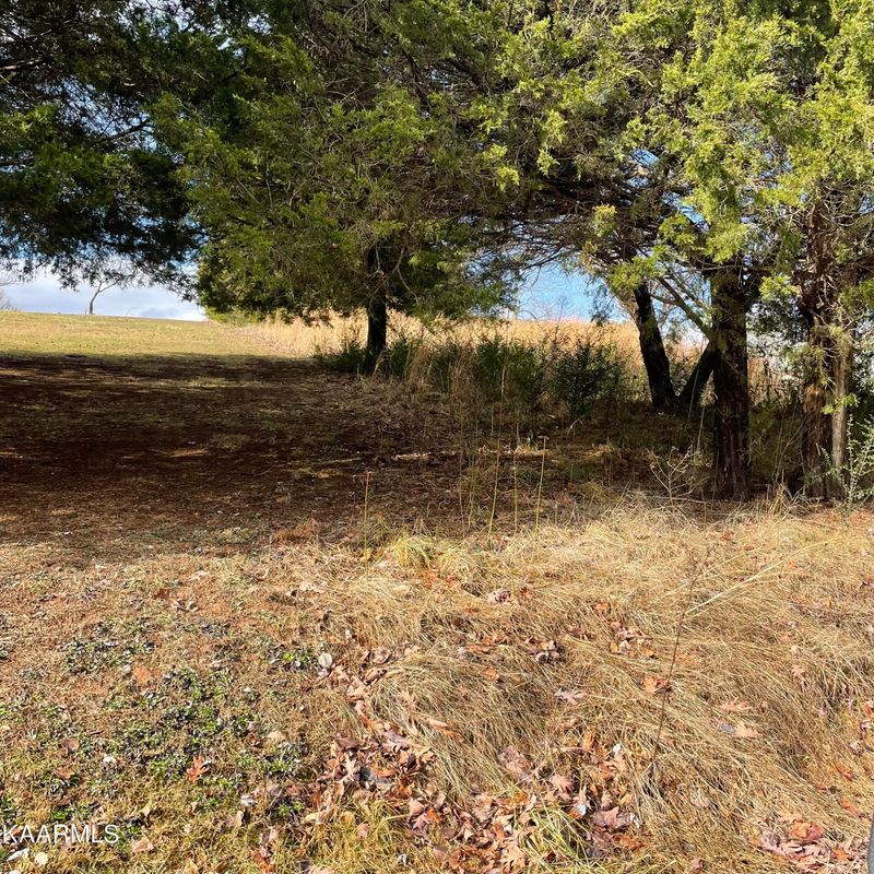 TBD Scenic Cir, Tellico Plains, TN 37385