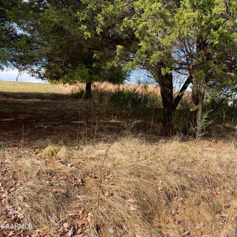 TBD Scenic Cir, Tellico Plains, TN 37385