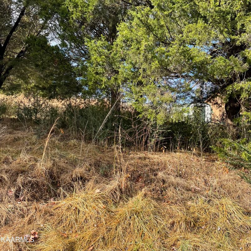 TBD Scenic Cir, Tellico Plains, TN 37385