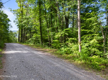 TBD Walnut Flats Rd, Walland, TN 37886
