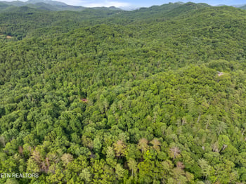 TBD Walnut Flats Rd, Walland, TN 37886