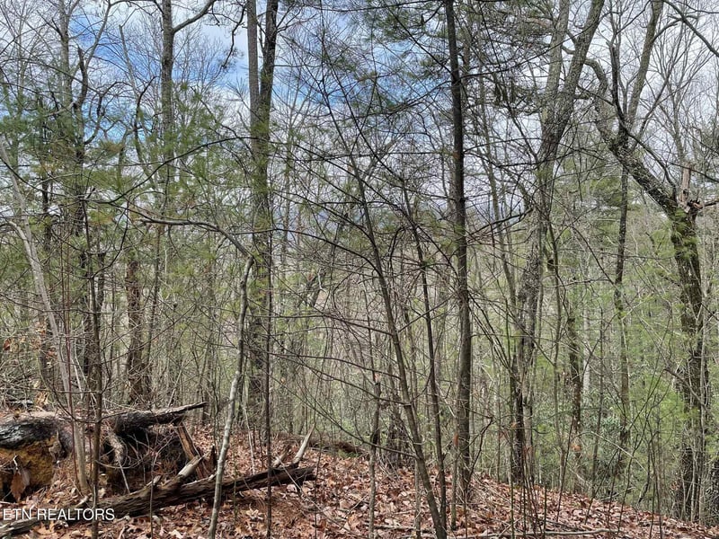 TBD Walnut Flats Rd, Walland, TN 37886