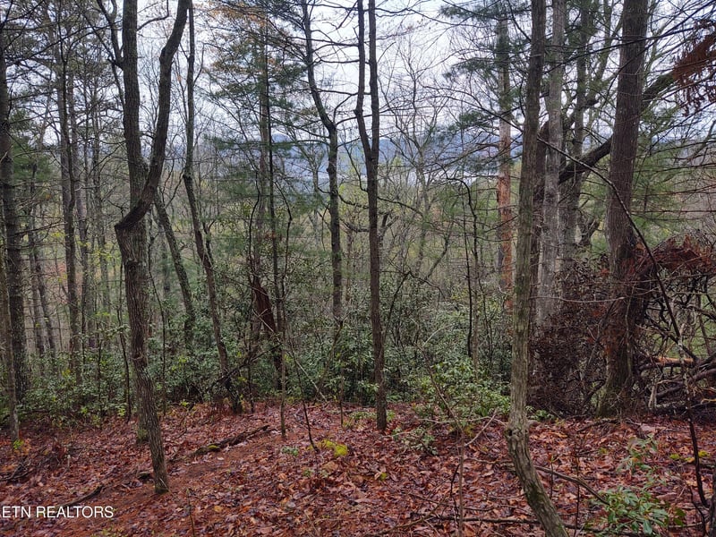 TBD Walnut Flats Rd, Walland, TN 37886