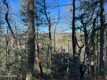 TBD Walnut Flats Rd, Walland, TN 37886