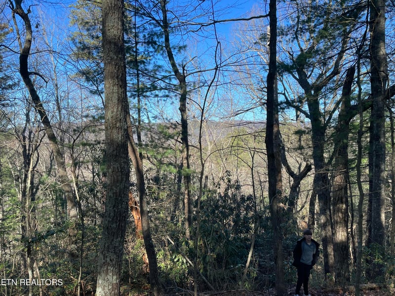 TBD Walnut Flats Rd, Walland, TN 37886