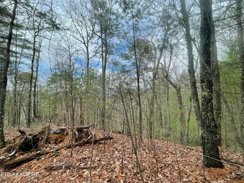 TBD Walnut Flats Rd, Walland, TN 37886