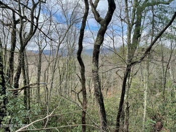 TBD Walnut Flats Rd, Walland, TN 37886