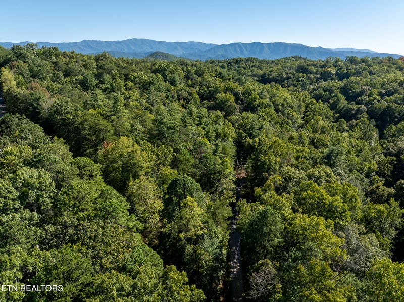 TBD Walnut Flats Rd, Walland, TN 37886