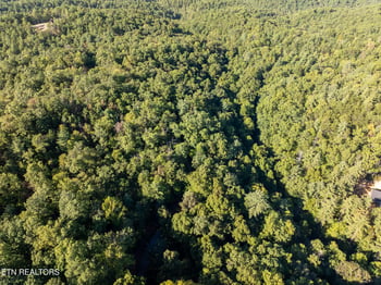 TBD Walnut Flats Rd, Walland, TN 37886