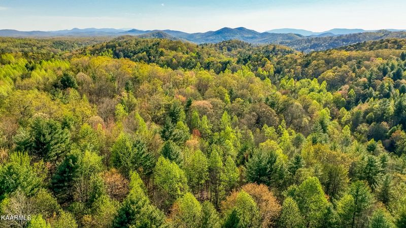 Tellico Plains, TN 37385