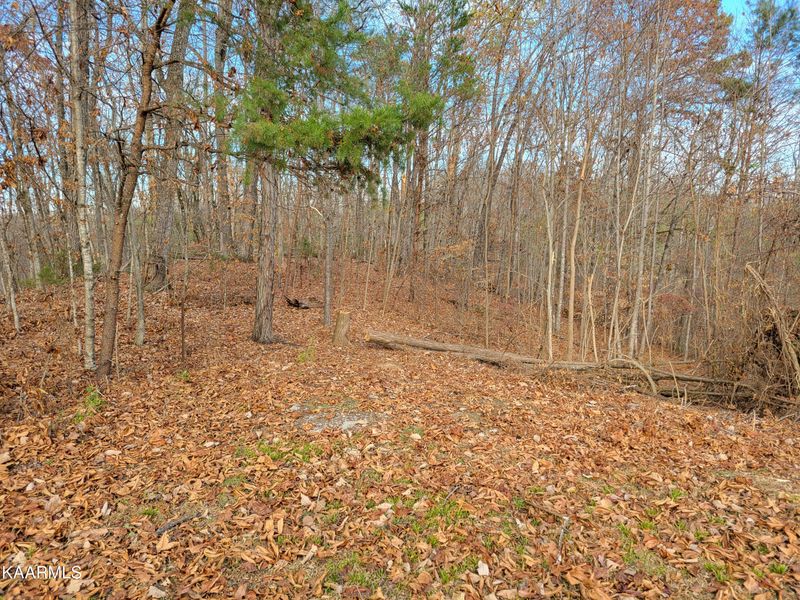 TR 1 Beverly Hills Dr, Sevierville, TN 37876