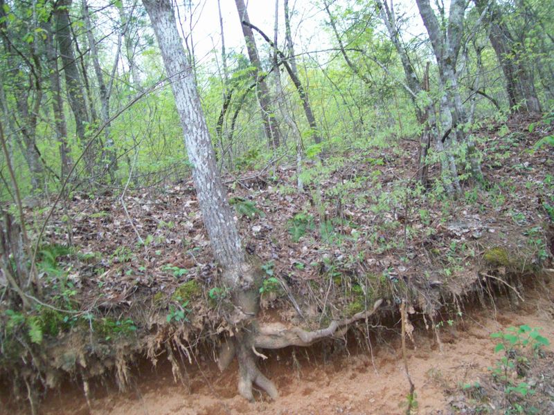 Tr 13 Brewer Rd, Maryville, TN 37801