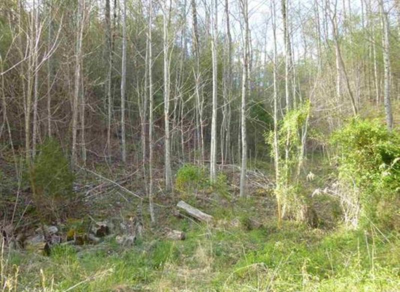 Tr-5 Mossy Cove Way, Sevierville, TN 37876