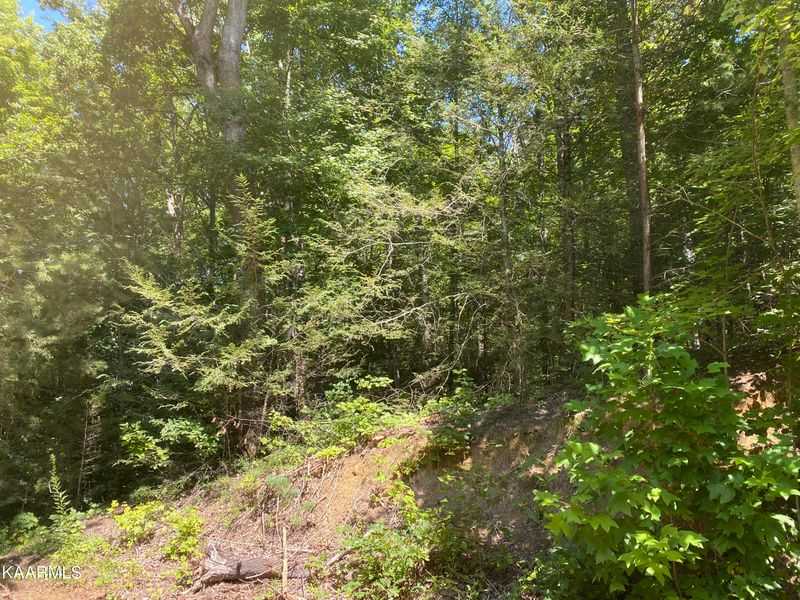Track 2-3 Tall Oak Way, Sevierville, TN 37876