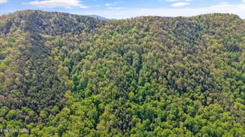 Tract 1-2 Chilhowee Tr, Maryville, TN 37803