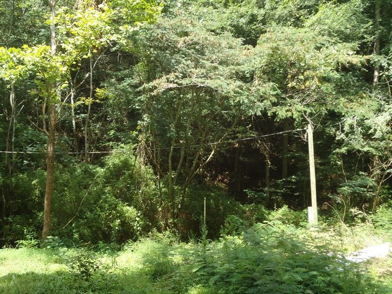 Tract 1-2 Laurel Creek Rd, Sevierville, TN 37876