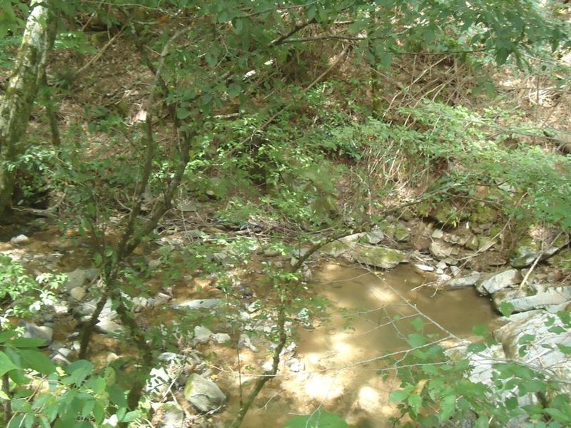 Tract 1-2 Laurel Creek Rd, Sevierville, TN 37876