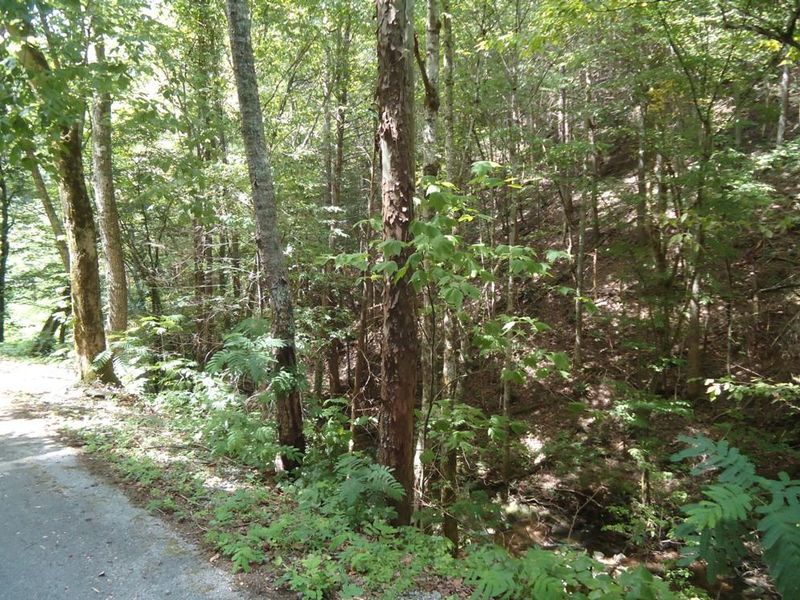 Tract 1-2 Laurel Creek Rd, Sevierville, TN 37876