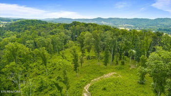 Tract 1 Mill Creek Rd, Andersonville, TN 37705
