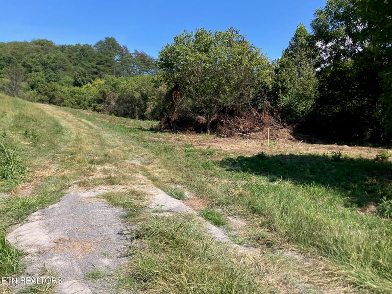 Tract 1 Ousley Gap Rd, Maynardville, TN 37807