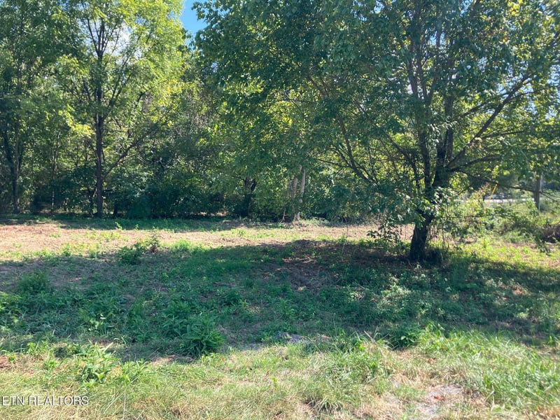 Tract 1 Ousley Gap Rd, Maynardville, TN 37807
