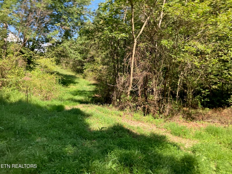Tract 1 Ousley Gap Rd, Maynardville, TN 37807