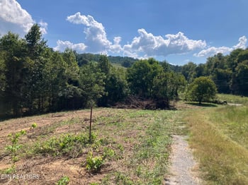 Tract 1 Ousley Gap Rd, Maynardville, TN 37807