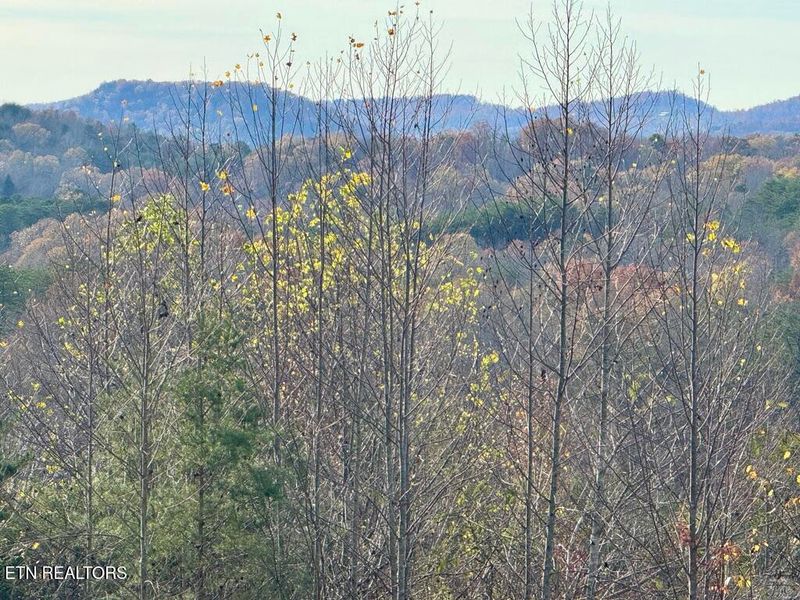 Tract 1 Three Point Rd, Vonore, TN 37885