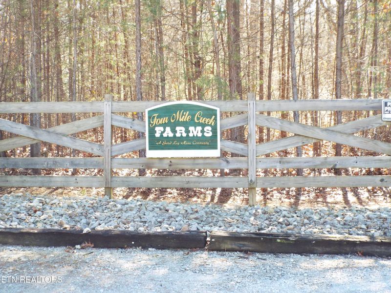 Tract 10 George Dr, Deer Lodge, TN 37726
