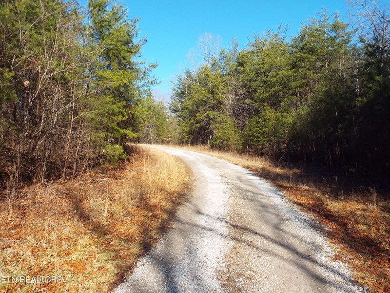 Tract 10 George Dr, Deer Lodge, TN 37726