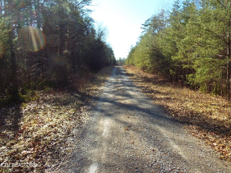 Tract 10 George Dr, Deer Lodge, TN 37726