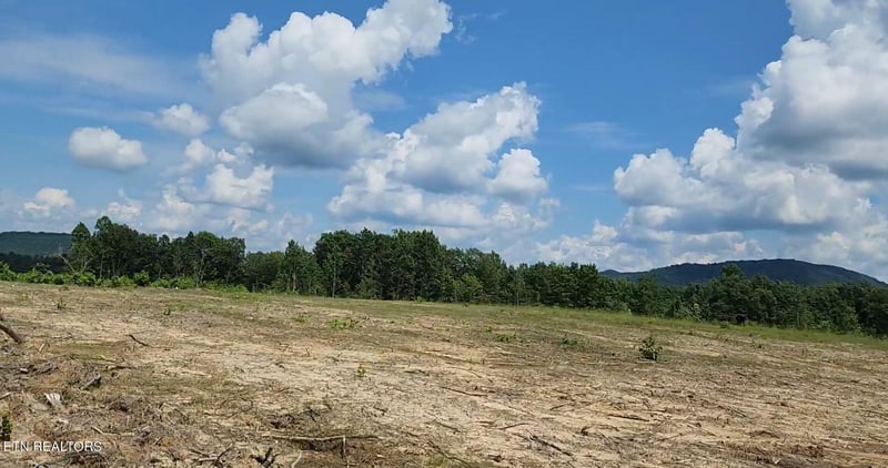Tract 10 Pleas Mccartt Rd, Sunbright, TN 37872