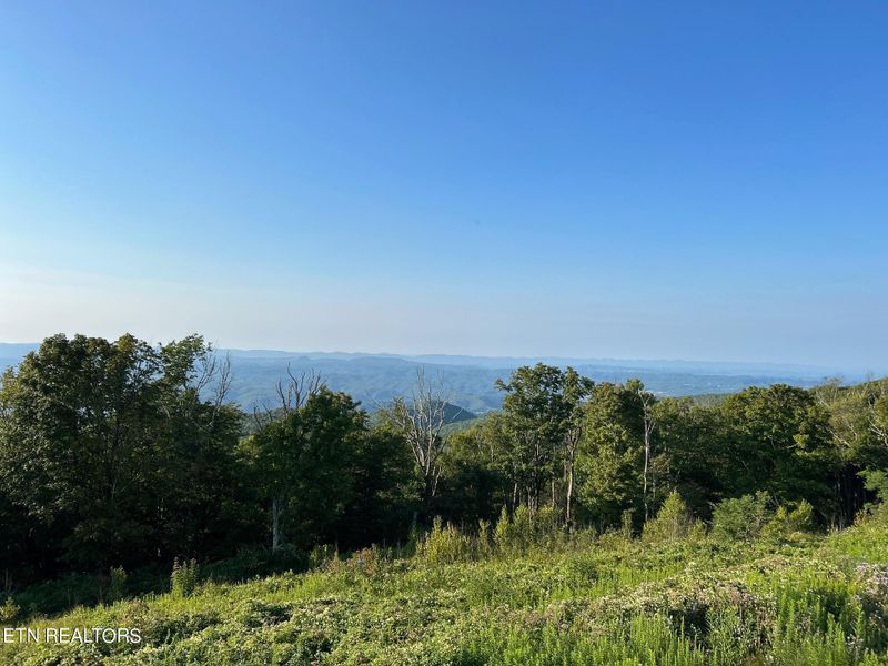 Tract 2 County Road 750, Calhoun, TN 37309