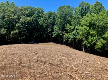 Tract 2 Graves Hollow Rd, Maynardville, TN 37807