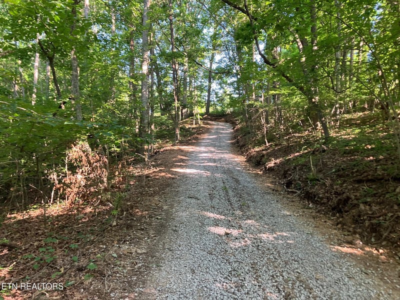 Tract 2 Graves Hollow Rd, Maynardville, TN 37807