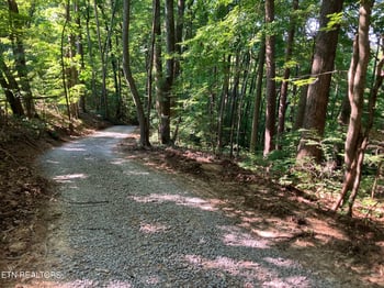 Tract 2 Graves Hollow Rd, Maynardville, TN 37807