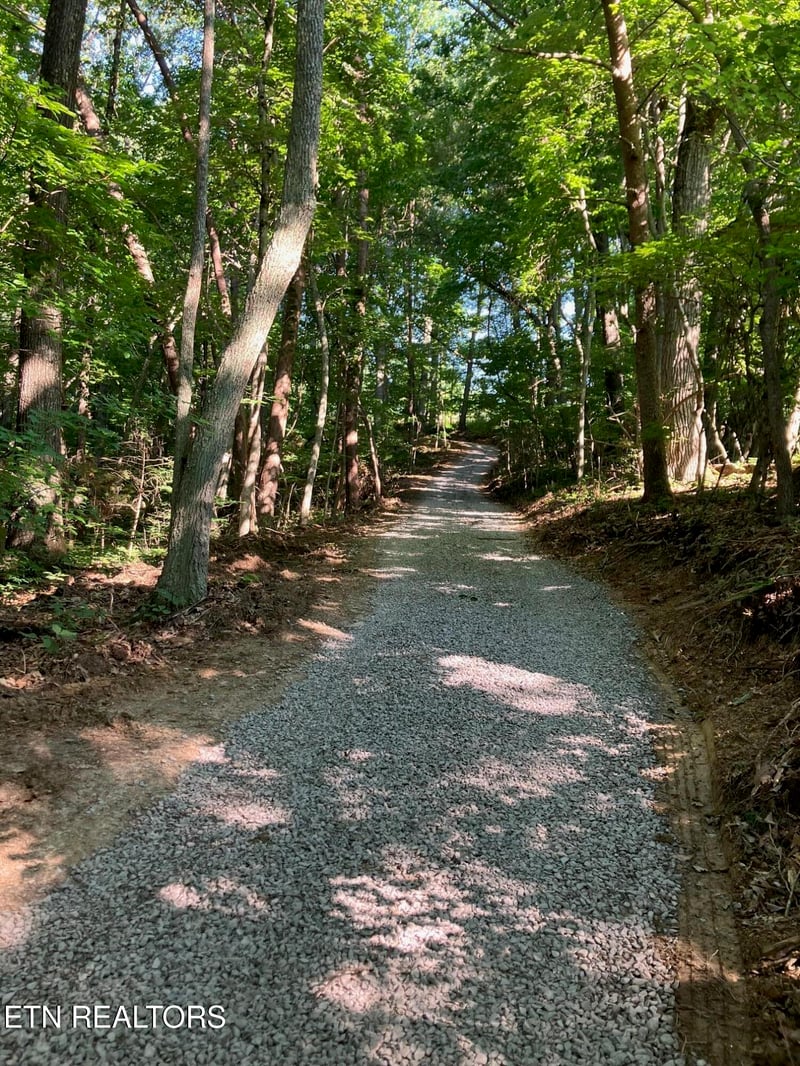 Tract 2 Graves Hollow Rd, Maynardville, TN 37807