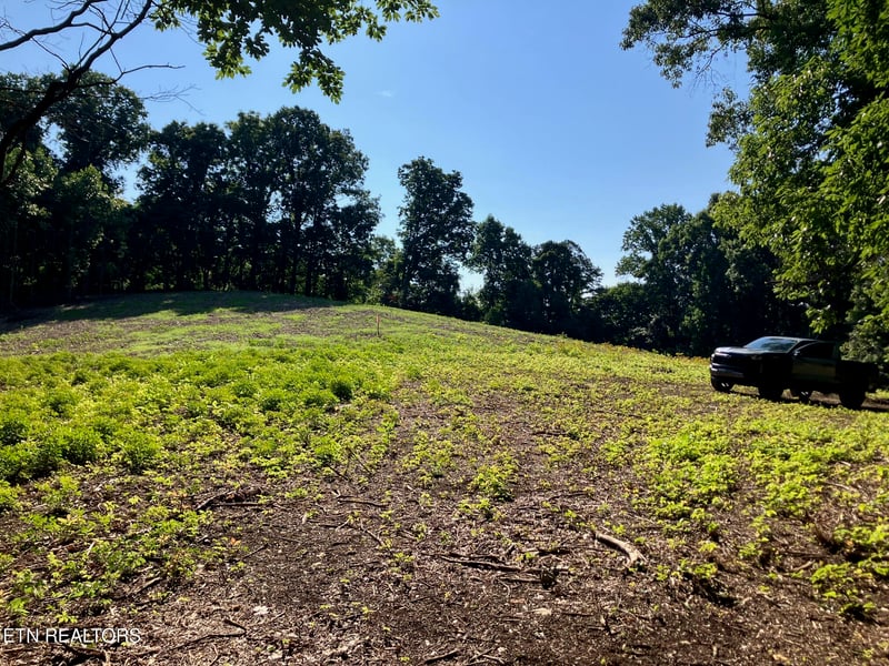 Tract 2 Graves Hollow Rd, Maynardville, TN 37807