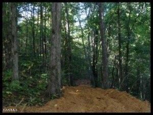 Tract 2 Jd Lee Farm Rd, Tellico Plains, TN 37385